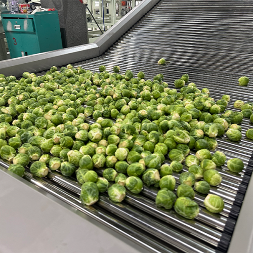 Brussels sprouts roller elevator Brussels sprouts roller elevator